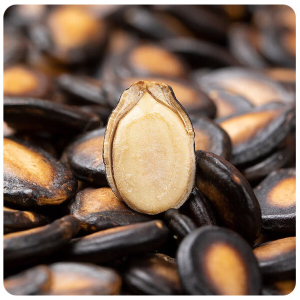 春江月 话梅味西瓜子  Melon seeds with the flavor of preserved plums  Chinese snacks  500g per bottle/17.64oz - 图片 5